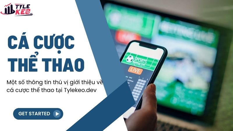 Một số thông tin thú vị giới thiệu về cá cược thể thao tại vozera.io